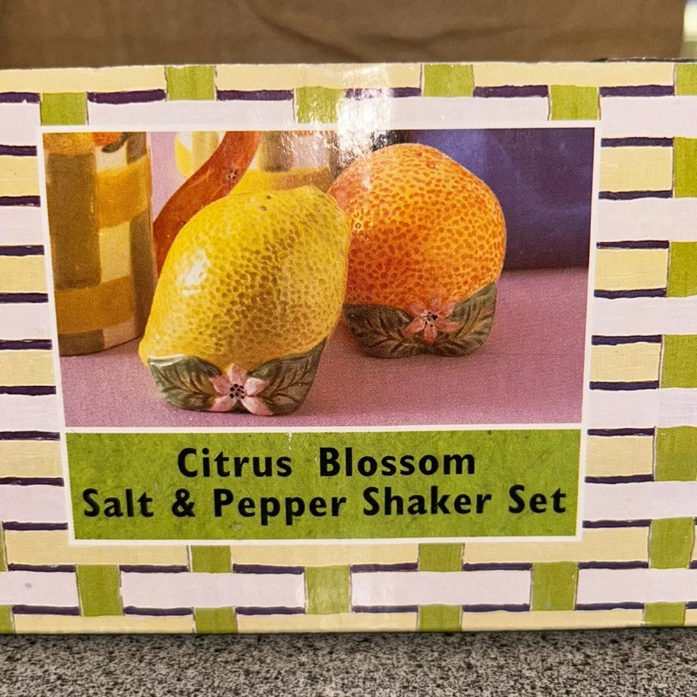 NWT Citrus Salt and Pepper Shakers set